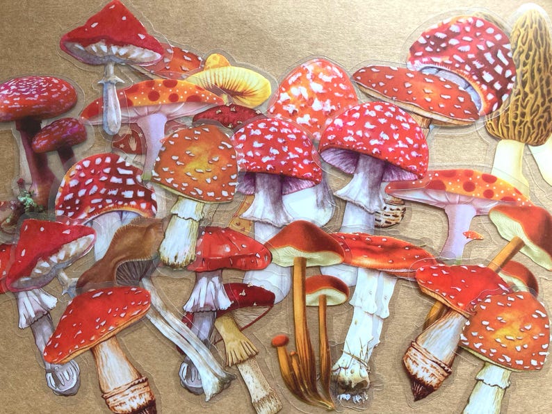 25 Transparent Toadstool / Mushroom Sticker Pack, Fungi Craft Stickers for Journalling, Planners, Scrapbooking, Laptops image 2