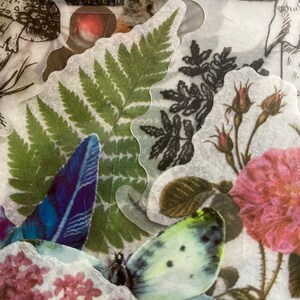 May include: A collection of vintage botanical stickers featuring a butterfly, fern, mushroom, and rose. The stickers are printed on clear, translucent paper and have a delicate, vintage aesthetic.