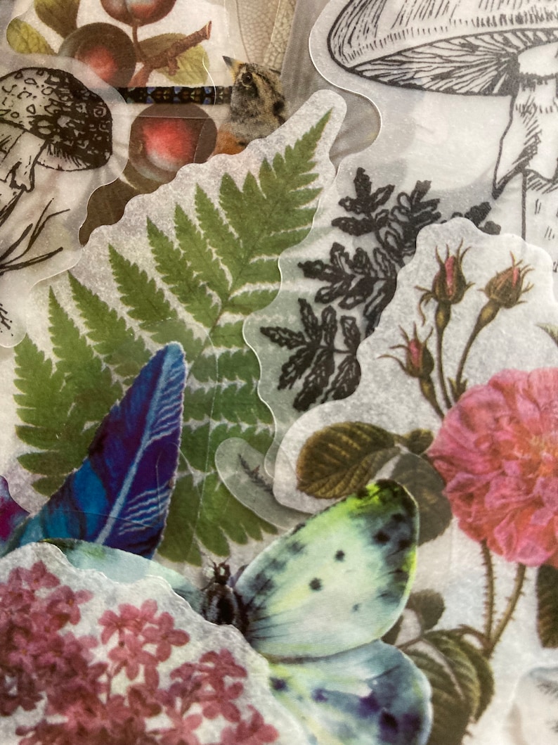 May include: A collection of vintage botanical stickers featuring a butterfly, fern, mushroom, and rose. The stickers are printed on clear, translucent paper and have a delicate, vintage aesthetic.
