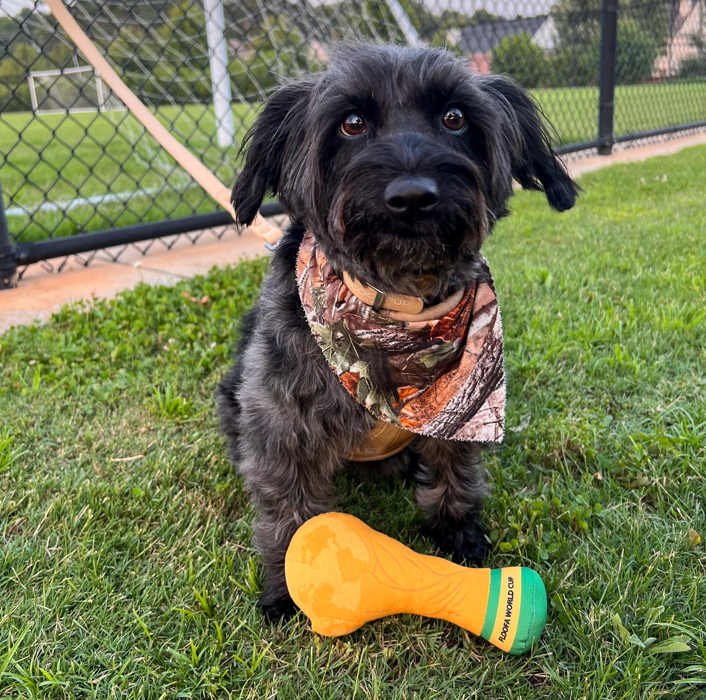Argentina Soccer Plush Dog Toy, Squeaky Soccer Ball Dog Toy, Soccer