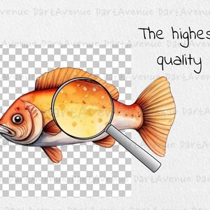 Pu&ograve; includere: Un'illustrazione ad acquerello di un pesce rosso e arancione con una lente d'ingrandimento sopra. Il pesce ha una texture dettagliata ed &egrave; circondato da uno sfondo bianco con il testo "The highest quality".