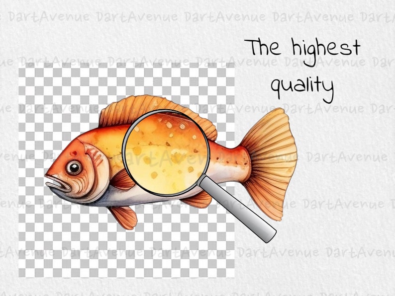 Pu&ograve; includere: Un'illustrazione ad acquerello di un pesce rosso e arancione con una lente d'ingrandimento sopra. Il pesce ha una texture dettagliata ed &egrave; circondato da uno sfondo bianco con il testo "The highest quality".