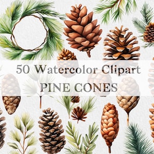 Watercolor Pine Cone Clipart Collection, Christmas Wreath Watercolor Style, Hand Painted, Christmas Tree, Pine Cone Images, PNG format files