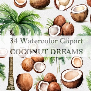 Colección de imágenes prediseñadas de acuarela de coco, imágenes prediseñadas tropicales, palmeras, 34 artes de alta calidad, palma de playa, imágenes prediseñadas de verano, descarga instantánea, PNG