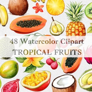 Watercolor Exotic Tropical Fruits Clipart, Summer Fruits Clipart, Art for Menu Planner, PNG Tropical Fruit stickers, For Commercial Use