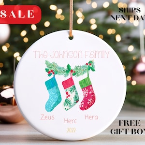 Family Name Ornament Personalized Christmas Tree Ornament with Family Name Christmas Tree Name Ornament  2023