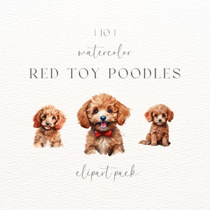 Clipart de poodle brinquedo | Uso Comercial | Download digital | Clipart de cachorro | Caniche Png | Presente para amante de cães | Aquarela Caniche | Cachorro Png