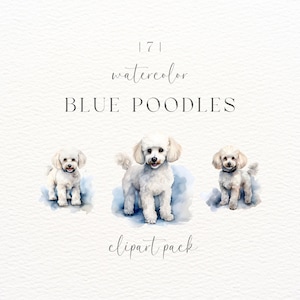 Toy Poodle | Digital Download | Junk Journal | Instant Download | Dog Lover Gift | Standard Poodle | Toy Poodle Clipart | Dog Clipart | PNG