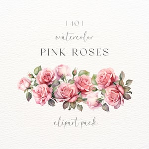 Pink Roses Clipart | Clipart |  Watercolor Blush Roses Clipart | Digital Download | Digital Clipart Png | High Resolution