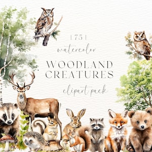 Woodland Animals Watercolor Clipart | Forest Animals Clip Art | Watercolor Forest Animals Png | Nursery Wall Art | Woodland Nursery Decor