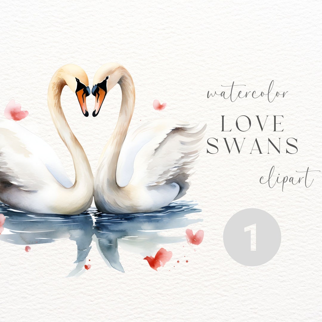 Watercolor Swans in Love Swan Clipart Digital Download Commercial Use ...
