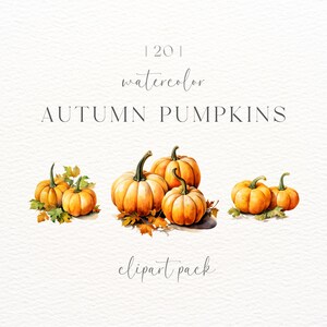 Watercolor Pumpkin Clipart | Digital Download | Watercolor Autumn Clipart | Fall Png | Fall Floral | Fall Watercolor Clipart | Pumpkin Patch