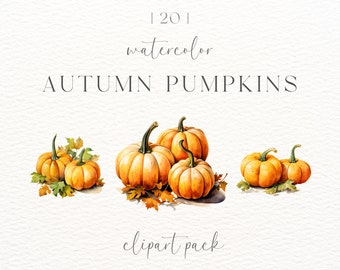Clipart aquarel herfstpompoen: herfstbloemen png (digitale download)