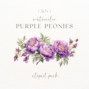Pfingstrosen Blumen Aquarell | Pfingstrosen Png | Aquarell Lila Pfingstrosen Clipart | Boho Blumensträuße | Aquarell Blumen Clipart | Florale Elemente