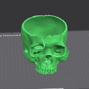 May include: A 3D-printed, bright green skull with an open top, revealing the interior. The skull has detailed facial features, including eye sockets and teeth. The object is on a gray grid surface.