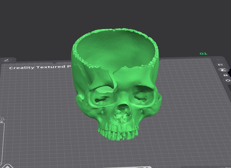 May include: A 3D-printed, bright green skull with an open top, revealing the interior. The skull has detailed facial features, including eye sockets and teeth. The object is on a gray grid surface.