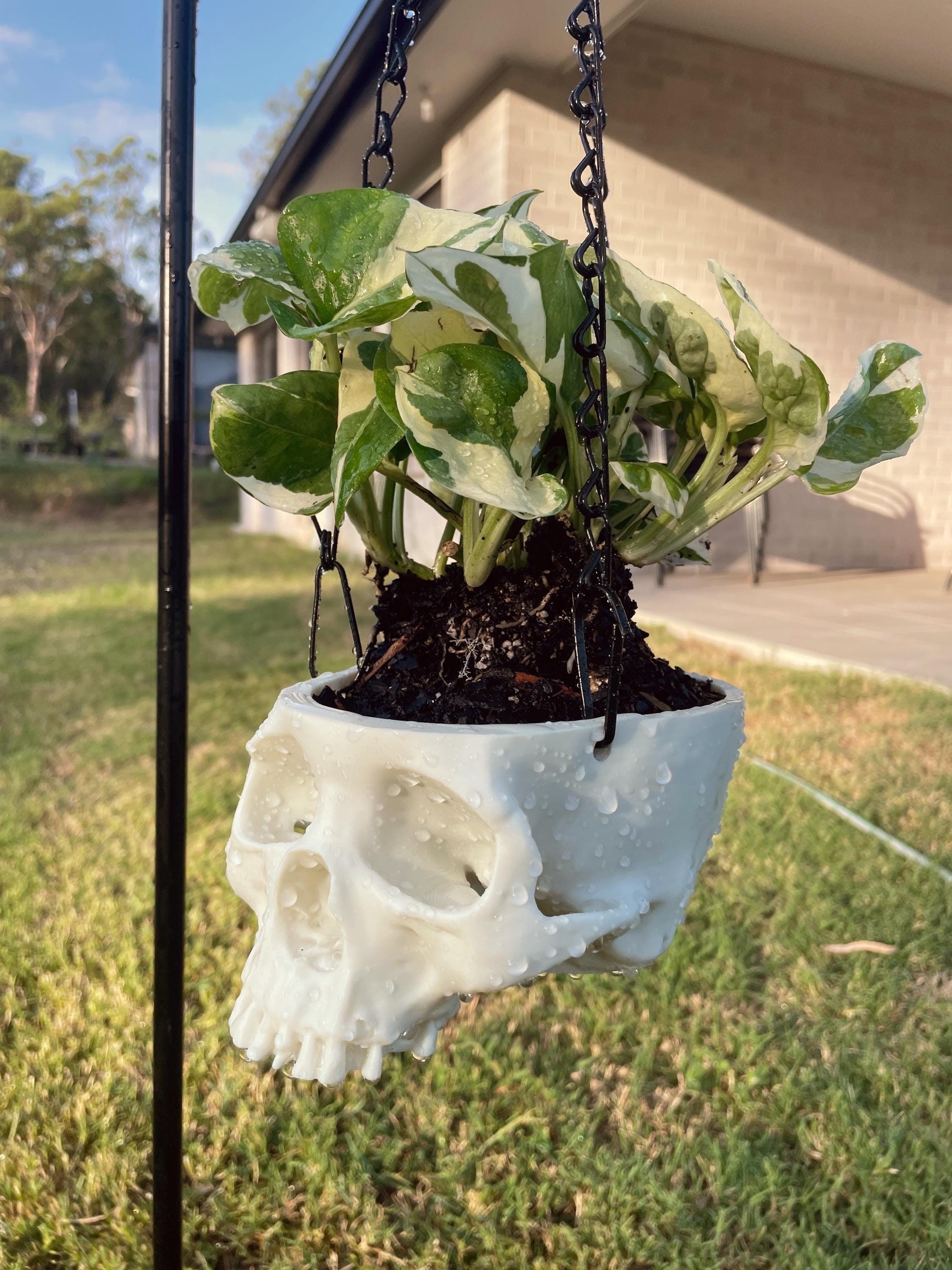 metal hanging plant Antique Style Metal Wire Hanging Orb Planter Cages Set of 2