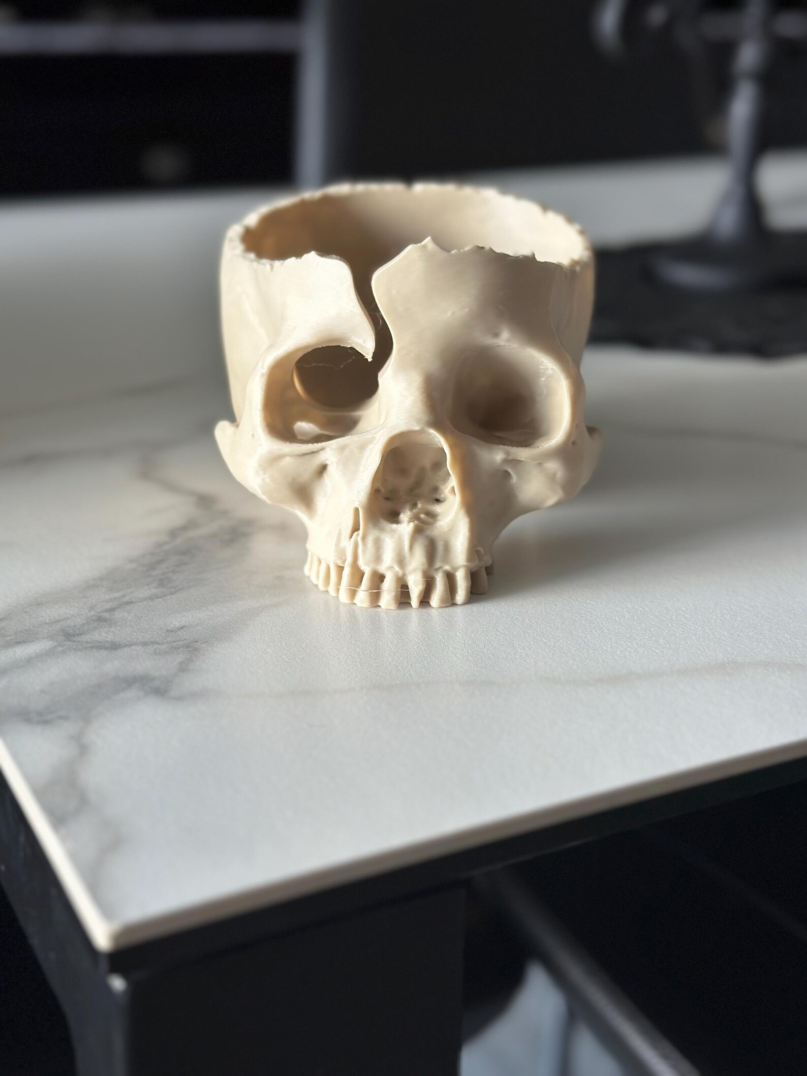 Skull Yarn Bowl Crocheting & Knitting Accessory Craft Wool Yarn Holder