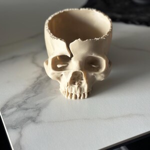 May include: A cream-colored skull-shaped container with a hollow interior. The skull has detailed facial features, including eye sockets, a nose cavity, and teeth. The container is likely made of a hard material and sits on a white surface.