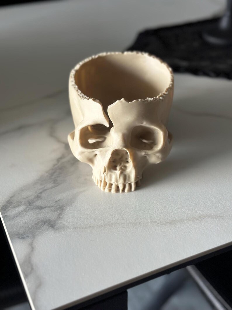 May include: A cream-colored skull-shaped container with a hollow interior. The skull has detailed facial features, including eye sockets, a nose cavity, and teeth. The container is likely made of a hard material and sits on a white surface.
