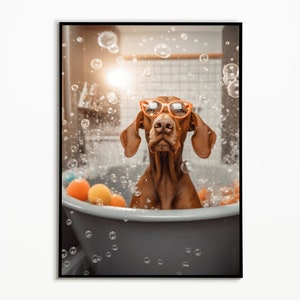 Vizsla mit Brille spass in der Badewanne, Badezimmer Bilder, Badezimmer Deko, Vizsla Geschenk, Funny Dog Picture, Geschenkidee Hundebesitzer