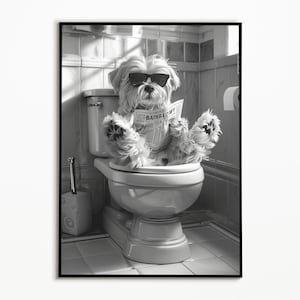 Lhasa Apso on the toilet and reading newspaper, bathroom ideas pictures, funny dog picture, furnishing ideas bathroom poster, wall decoration picture