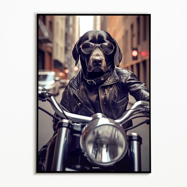 Labrador auf dem Motorrad, Wohnzimmer Ideen Bilder ,Funny Dog Picture, Einrichtungs Ideen, Wall Art Prints, Harley Davidson Poster