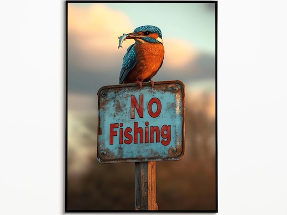 Kingfisher 