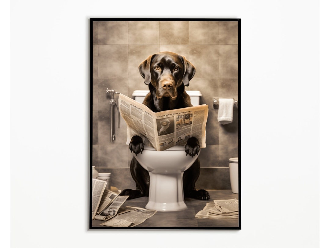 Labrador Sitting on the Toilet and Reading Newspaper, Bathroom Pictures ...