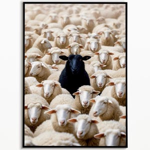 Black Sheep, Funny Animal Picture, Digital Download, Pets Gifts, Wall Art Print, Funny Sheep Poster Living Room, Wall Art Picture, Wall Art