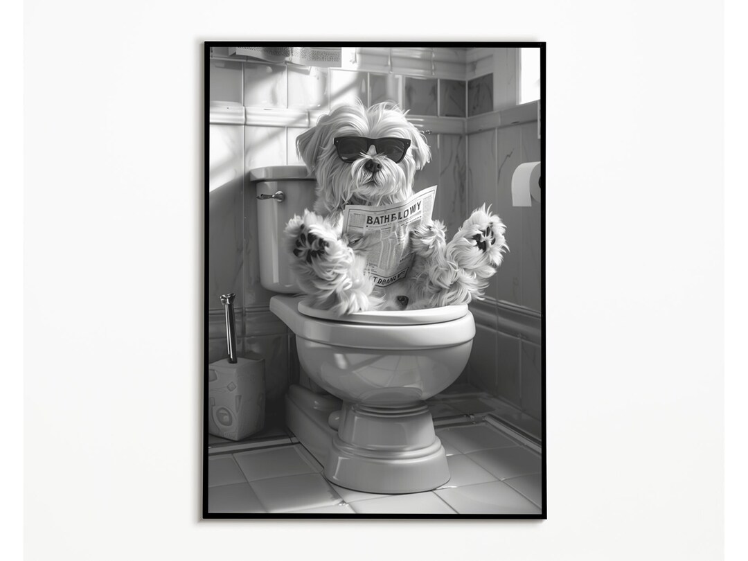 Lhasa Apso on the Toilet and Reading Newspaper, Bathroom Ideas Pictures