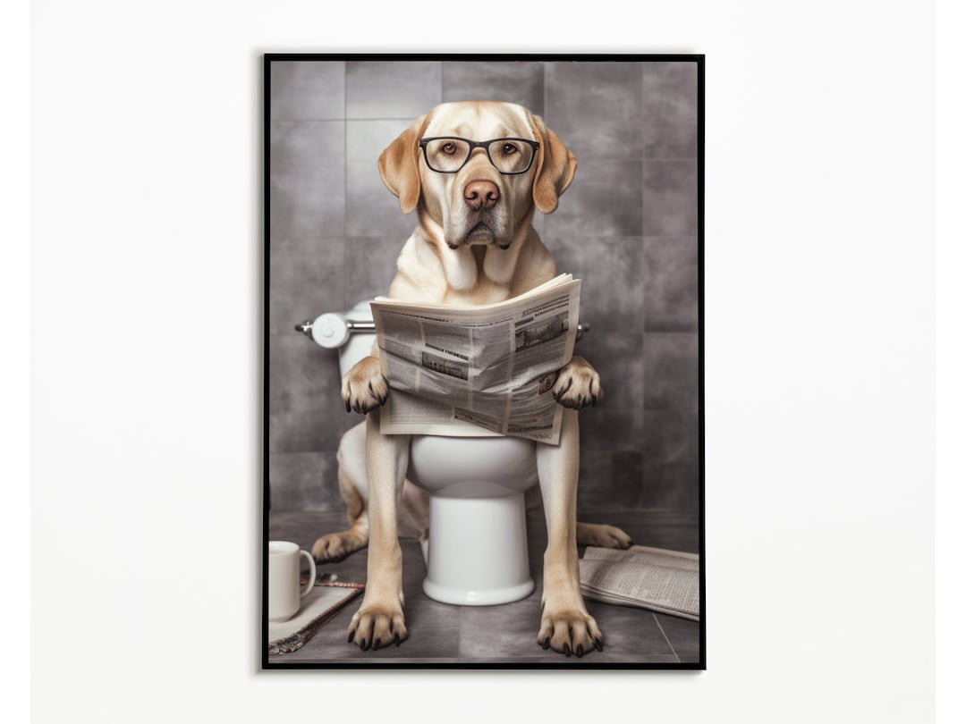 Labrador on the Toilet and Reading the Newspaper, Bathroom Pictures