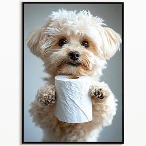 Maltipoo in the bathroom with toilet roll, bathroom picture, digital download, funny Maltipoo gift ideas, bathroom furnishing ideas