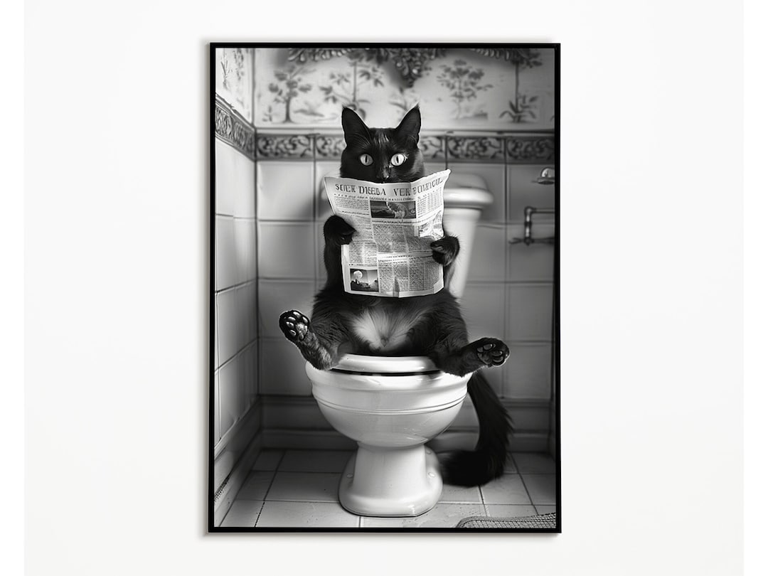 Black Cat Sitting on the Toilet and Reading Newspaper, Bathroom ...