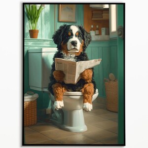 Bernese Mountain Dog sitting on the toilet and reading the newspaper, bathroom pictures, bathroom decoration, Bernese Mountain Dog gift, Funny Dog Picture