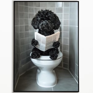 Cockapoo on the toilet and reading newspaper, bathroom ideas pictures, funny dog picture, furnishing ideas bathroom poster, wall decoration picture