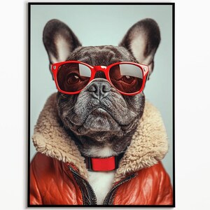 French bulldog with leather jacket and glasses, funny dog picture, interior design ideas living room poster, gift idea dog owner