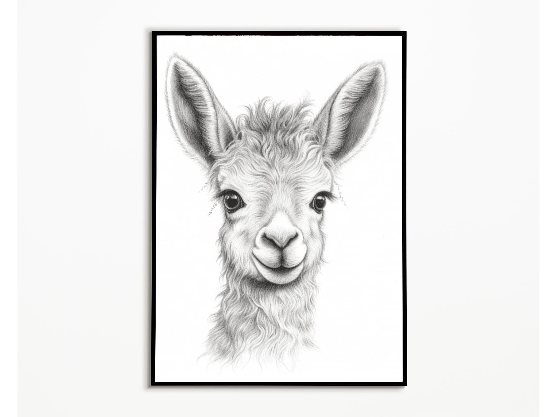 Lama black shop
