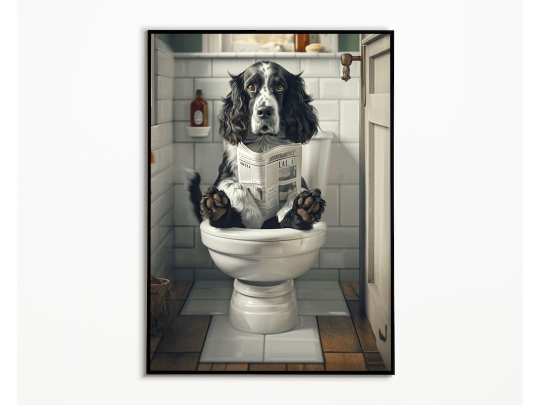 Springer Spaniel on the Toilet, Bathroom Pictures, Digital Download