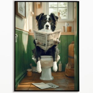 Border Collie on the toilet and reading newspaper, bathroom picture, bathroom decoration, Collie gift, funny picture, bathroom furnishing ideas