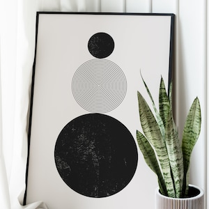 Peut inclure: Impression g&eacute;om&eacute;trique noir et blanc dans un cadre noir avec une plante serpent verte dans un pot blanc.