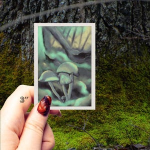 Illustratiesticker Marasmius vagus paddestoel, origineel kunstwerk