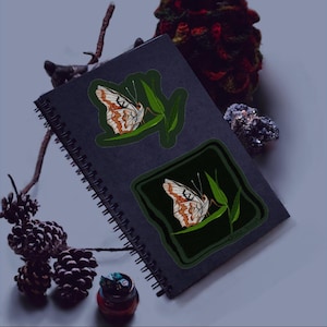 Sticker papillon de nuit peinture indienne - Minifaune métamorphique - Oeuvre d'art originale