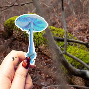 Adesivo de cogumelo Chlorophyllum Molybdites - Arte original,