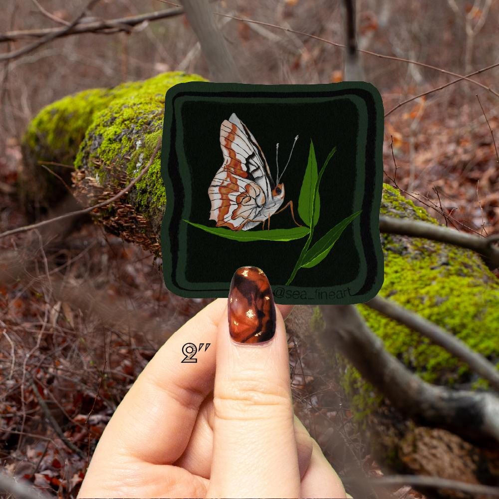 Indian Paint Stone Moth Sticker - Metamorphic Minifauna - Original ...