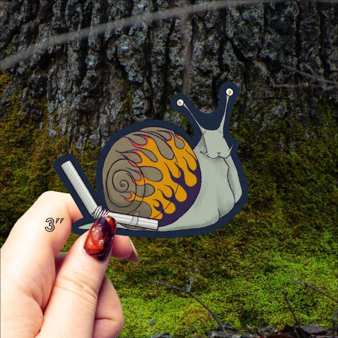 Snail Performance Sticker Hot Rod Snail Sticker, Waterproof Vinyl, Original Artwork - Etsy