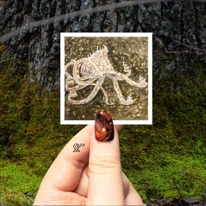 May include: A watercolor painting of a white octopus with pink accents on a dark brown background. The painting is 2 inches in size and is held in a hand with a red and black nail polish.