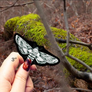 Death&#39;s Head Hawkmoth Sticker - Wingspread - Original Artwork
