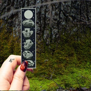 4" hoge sticker met groene beer-schedel, origineel kunstwerk