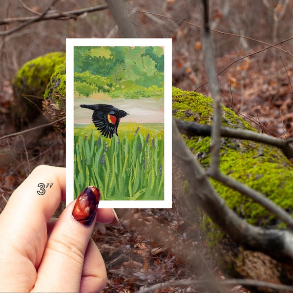 Red-Winged Blackbird, Gouache Painting Sticker, Original Artwork,